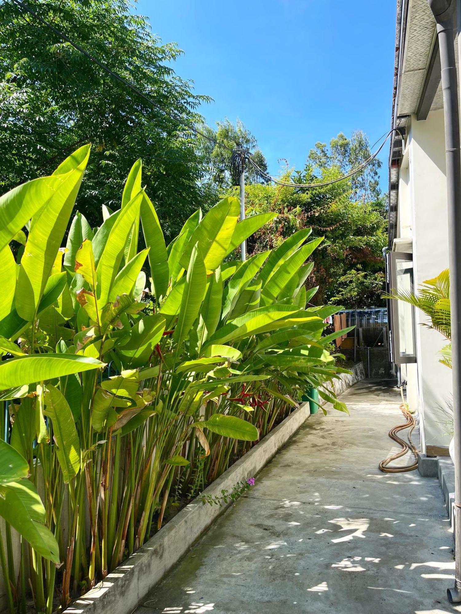 Crest House Beachside - Three-Bedroom Private House On Cham Island Hoi An Tân Hiệ 外观 照片